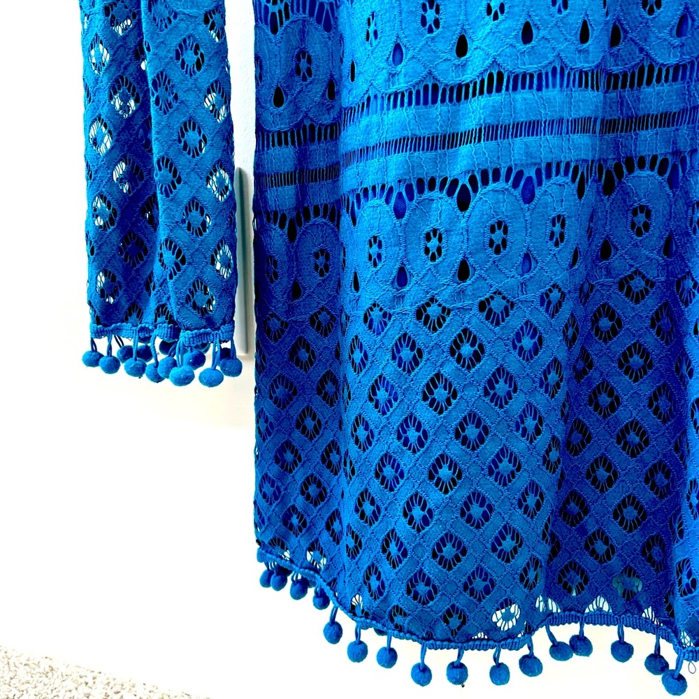 Beautiful lace dress. Never been worn. Every tassel on. In Amazing shape.